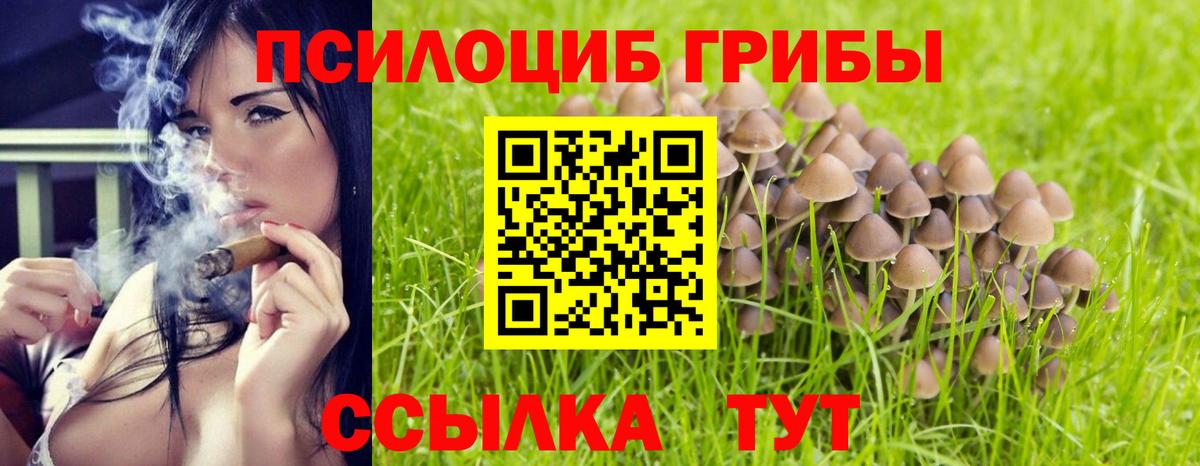Ишим  Псилоцибиновые грибы мицелий  Вход с VPN 