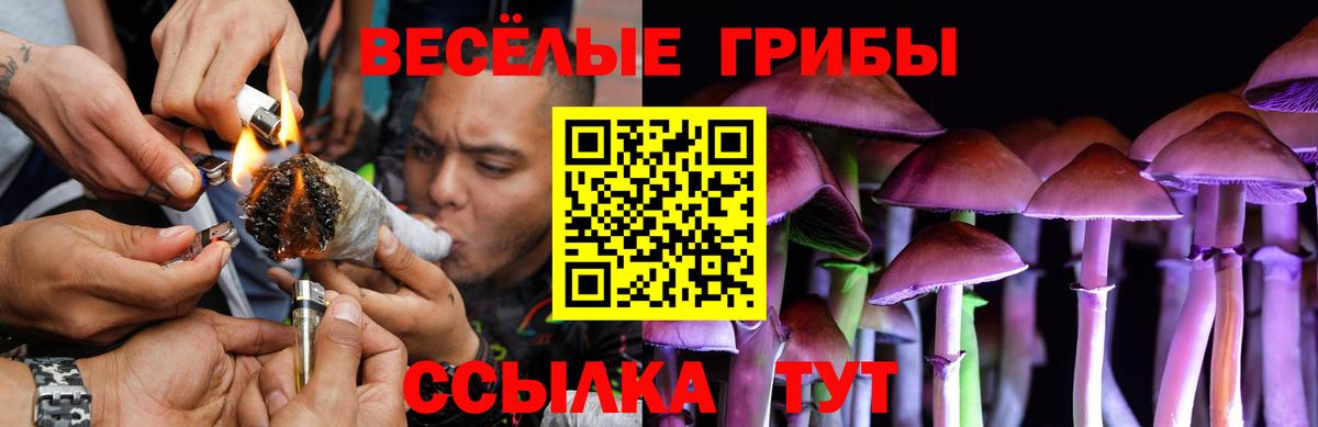 Галлюциногенные грибы Psilocybine cubensis Ишим